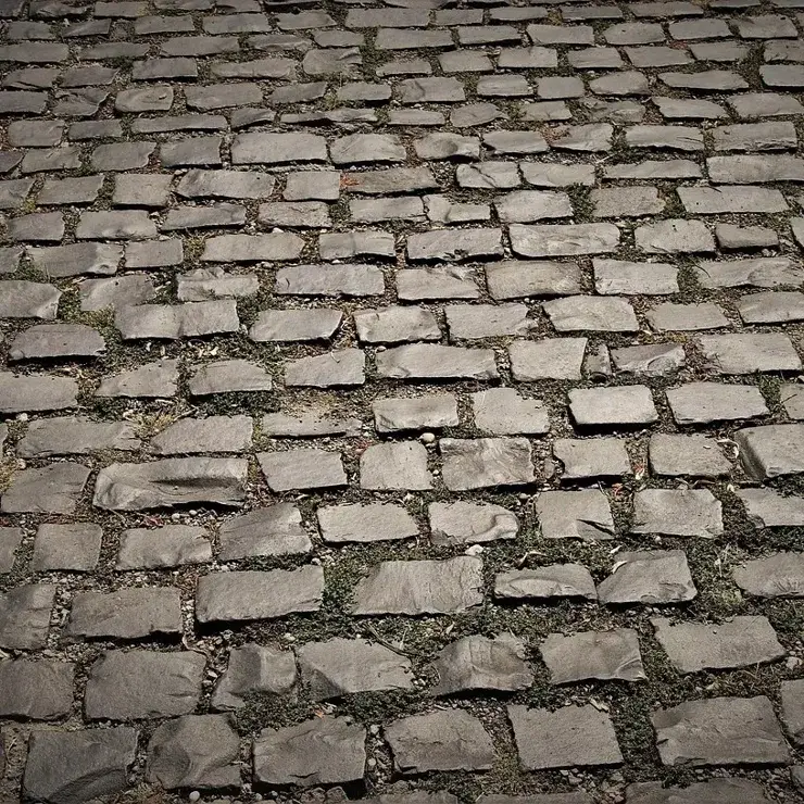 Uneven cobblestone pavement that makes wheelchair access difficult